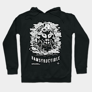 Become Hamstructible! | Action Film | Parody Movie Hoodie